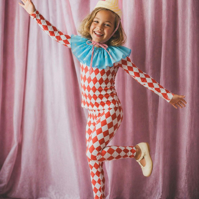Harlequin Clown Costume