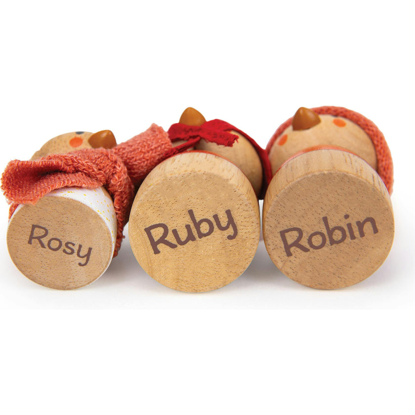Robin's Nest Box
