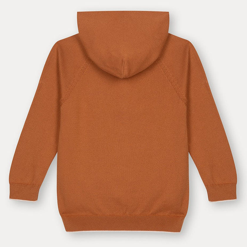 Rust Cotton Hoodie