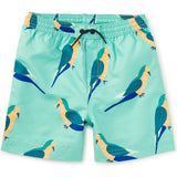 Mid-Length Swim Trunks, Green