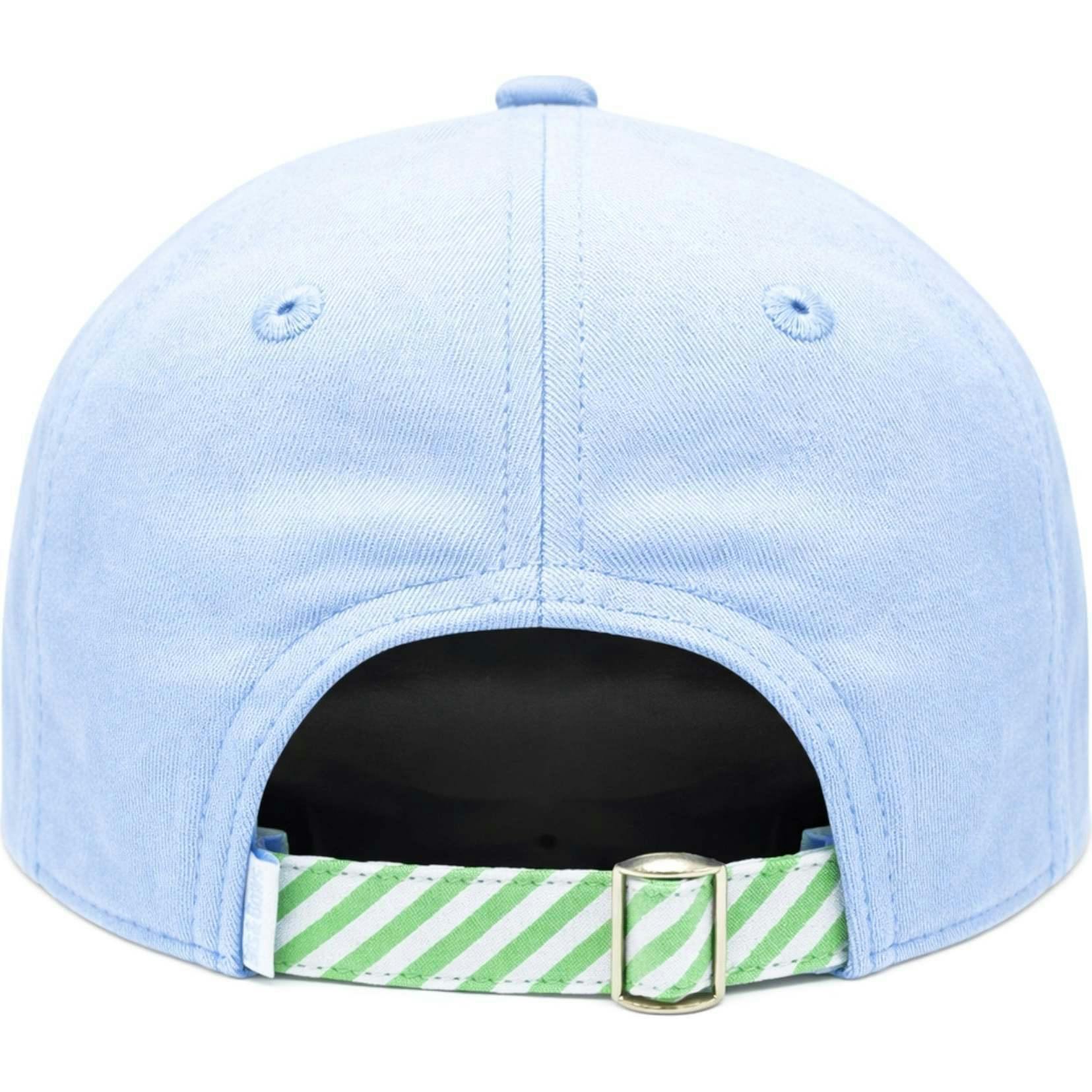 Dog in Golf Cart Baseball Hat
