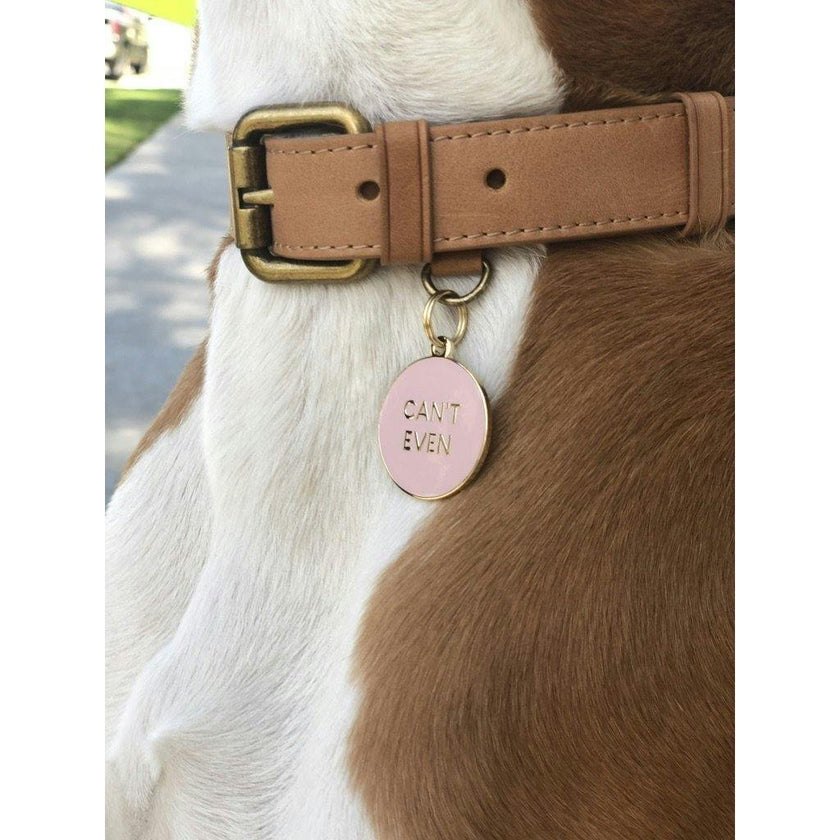 Cant Even Pet ID Tag