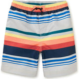 Full-Length Swim Trunks, Multi