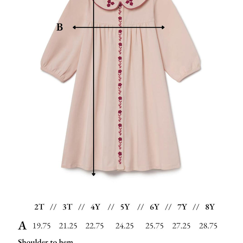 Collier Dress in Blushing Pink