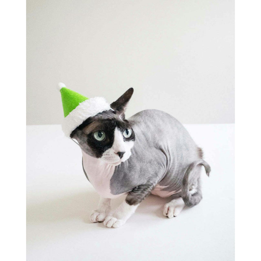 HOLIDAY HAT