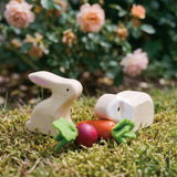 Pet Rabbit Set