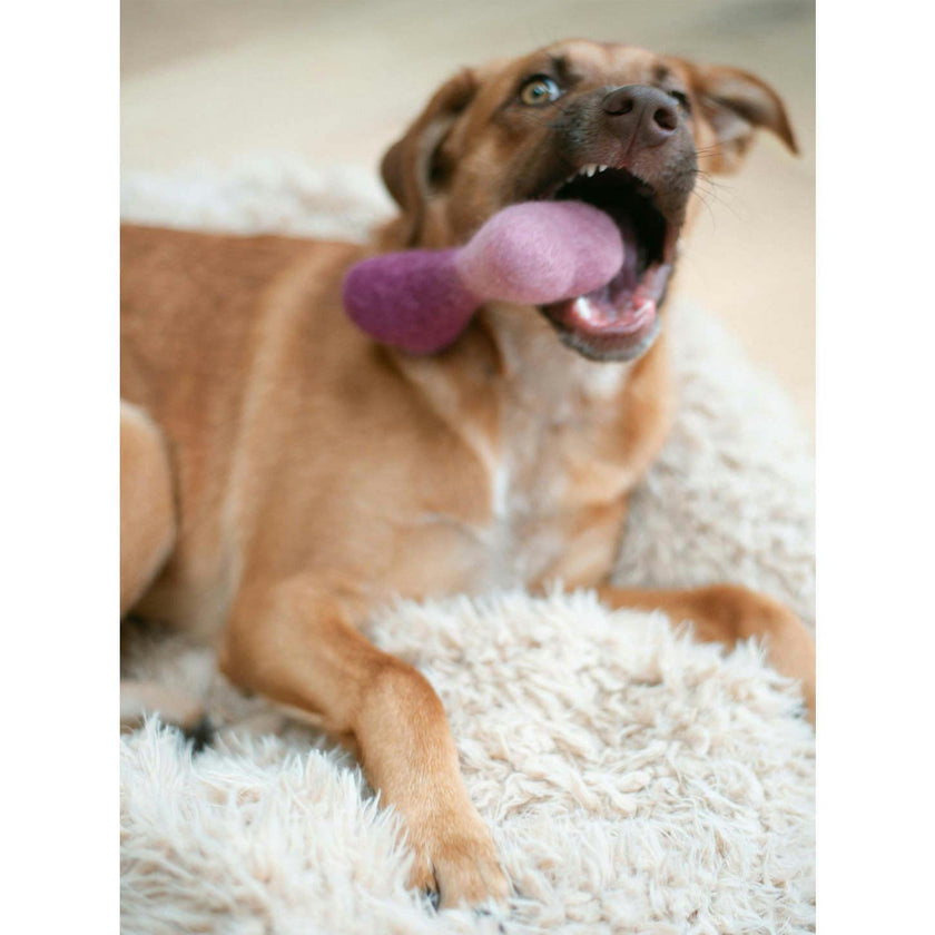WOOL OMBRE BONE, Purple