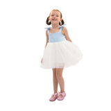 Light Blue Bodice Dress with White Tulle Skirt