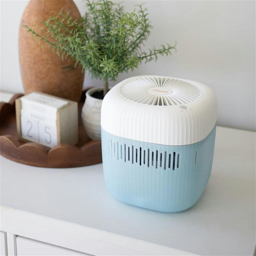 Evaporative  Humidifier, Cool Mist 0.5 Gal Top Fill, UV Light, Wick Filter