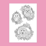 Dress & Color ME: Cute Animals