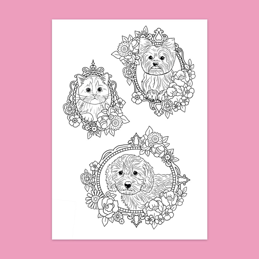 Dress & Color ME: Cute Animals