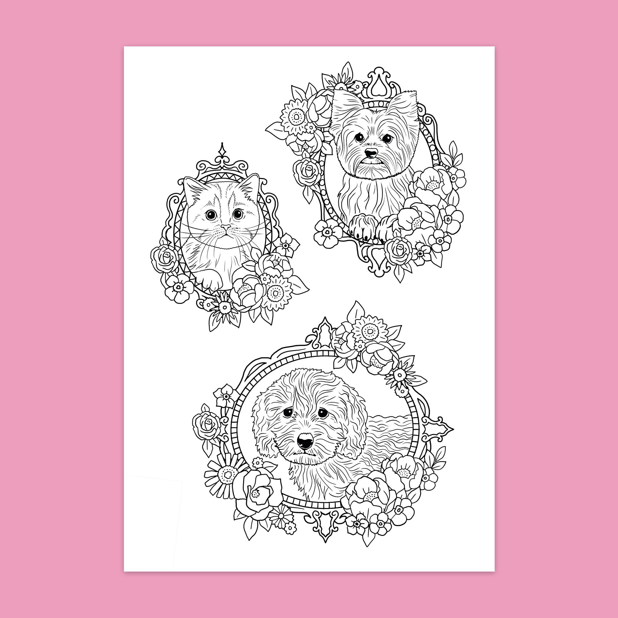 Dress & Color ME: Cute Animals