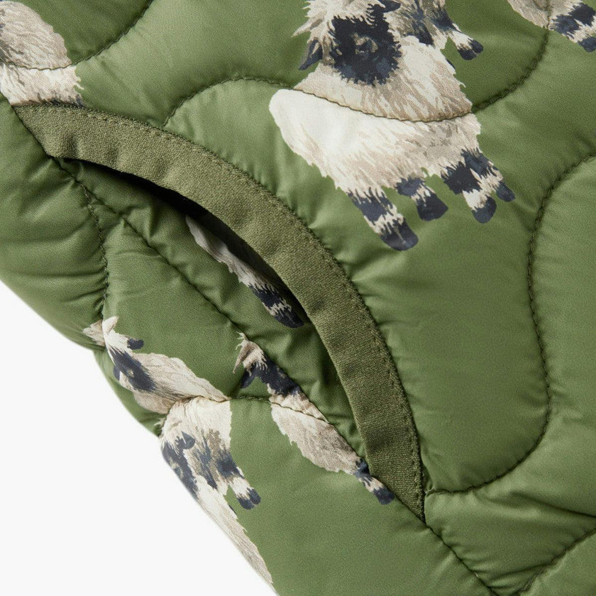 Valais Lightweight Down Vest