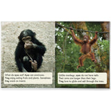 Decodable Readers Sound Families Long Vowels Non-Fiction Phase 5.5