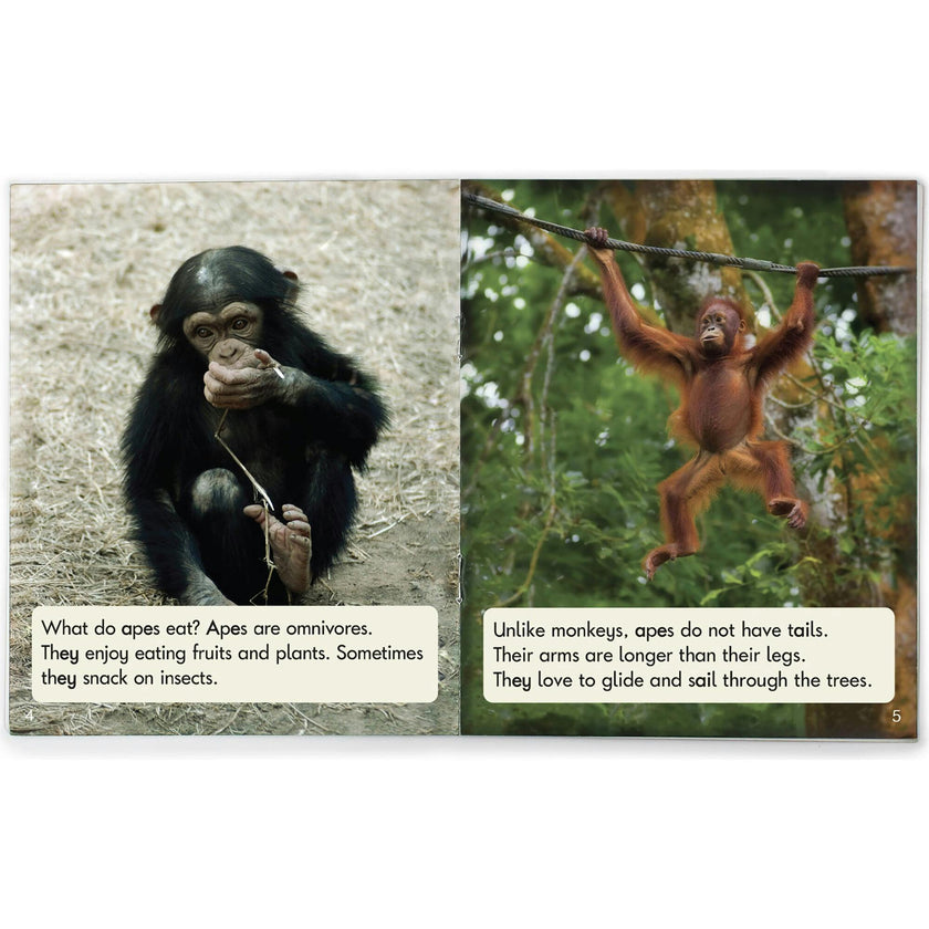 Decodable Readers Sound Families Long Vowels Non-Fiction Phase 5.5