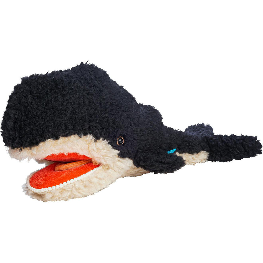 Imaginaries Whale
