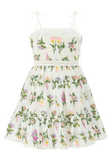 Emely Embroidered Mini Dress