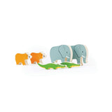 Noah's Ark