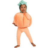 Pumpkin Patch Costume