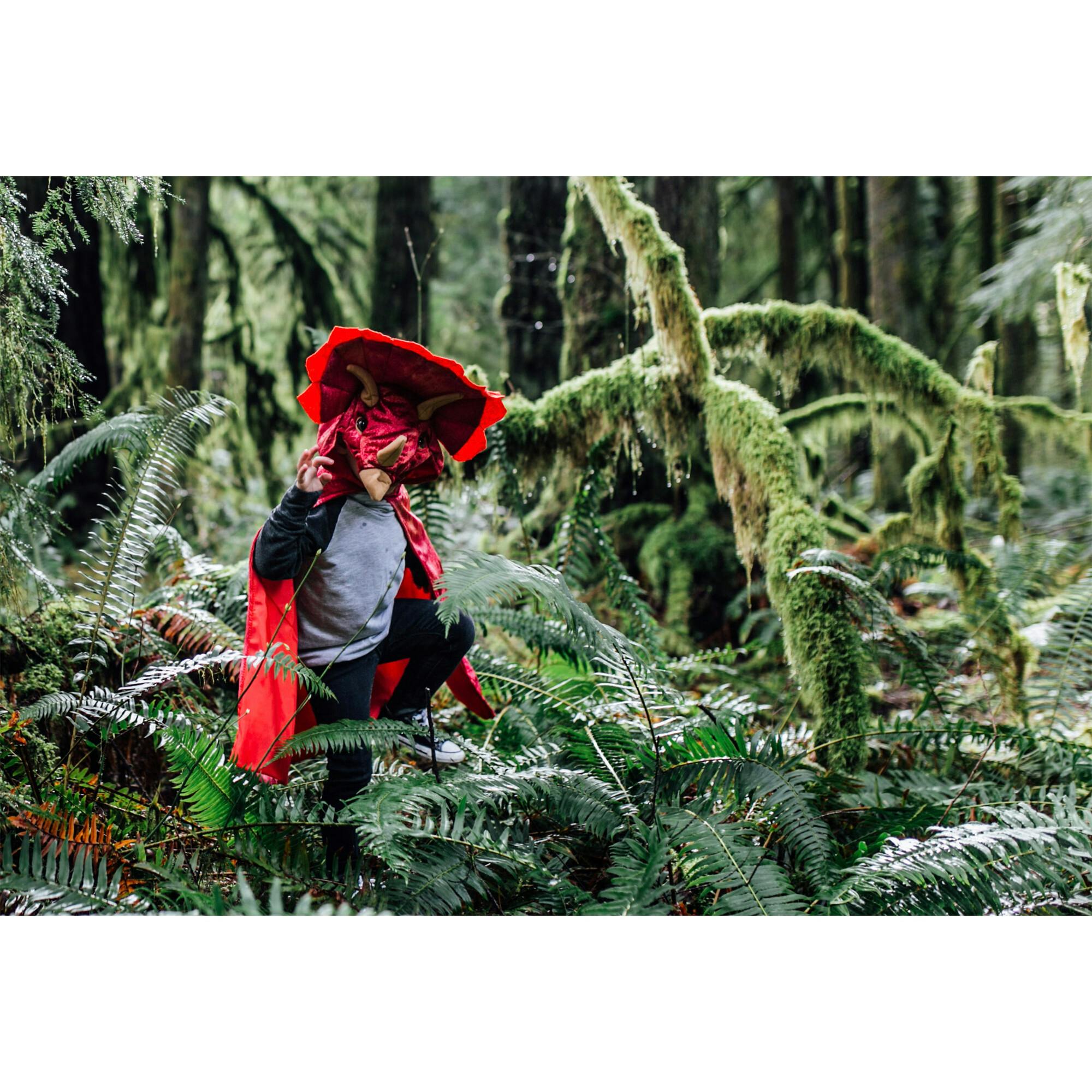 Triceratops Hooded Cape Size 4-5