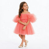 Blush Feather Fairy Tulle Flower Girl Dress