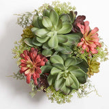 Round Artificial Succulent Arrangement, Natural Planter
