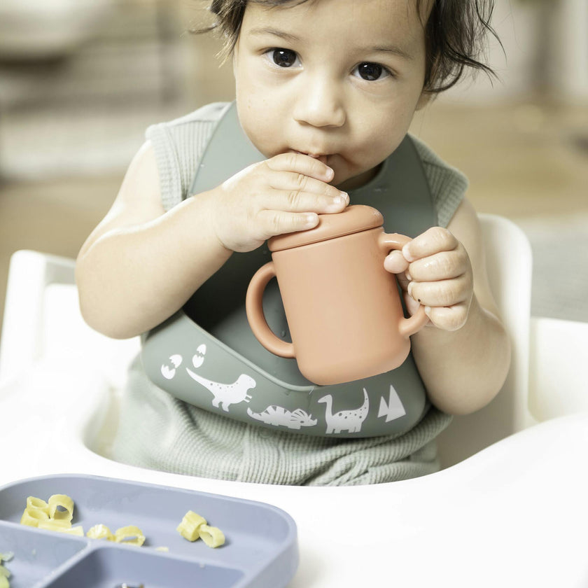 Dino Rawr Little Bites Narrow Bib